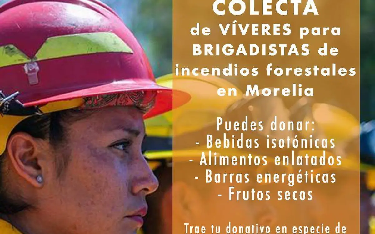 Brigadistas