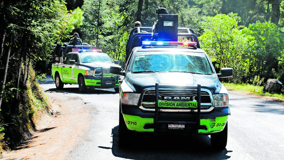 Policía Ambiental