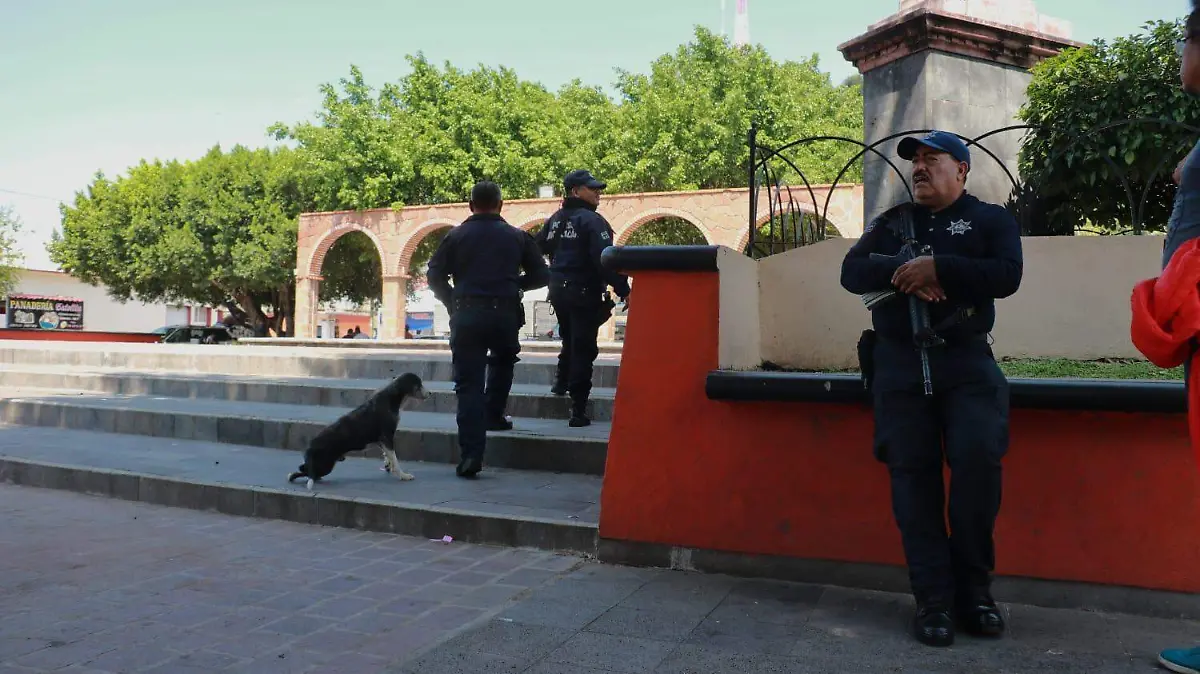 WhatsApp Image 2023-01-14 at 17.01.27