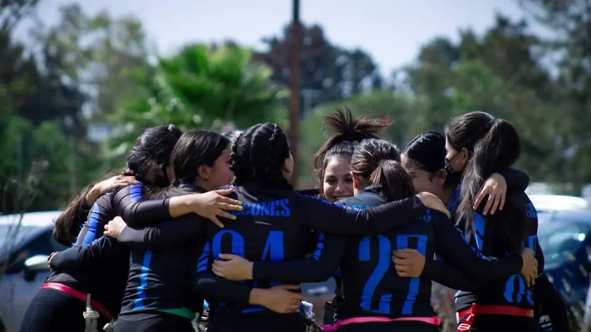 halcones de morelia 1