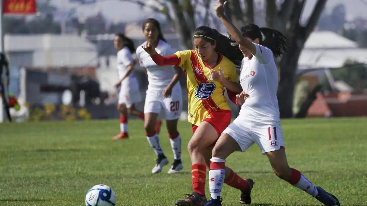 1812 FEMENIL_AJO (3)