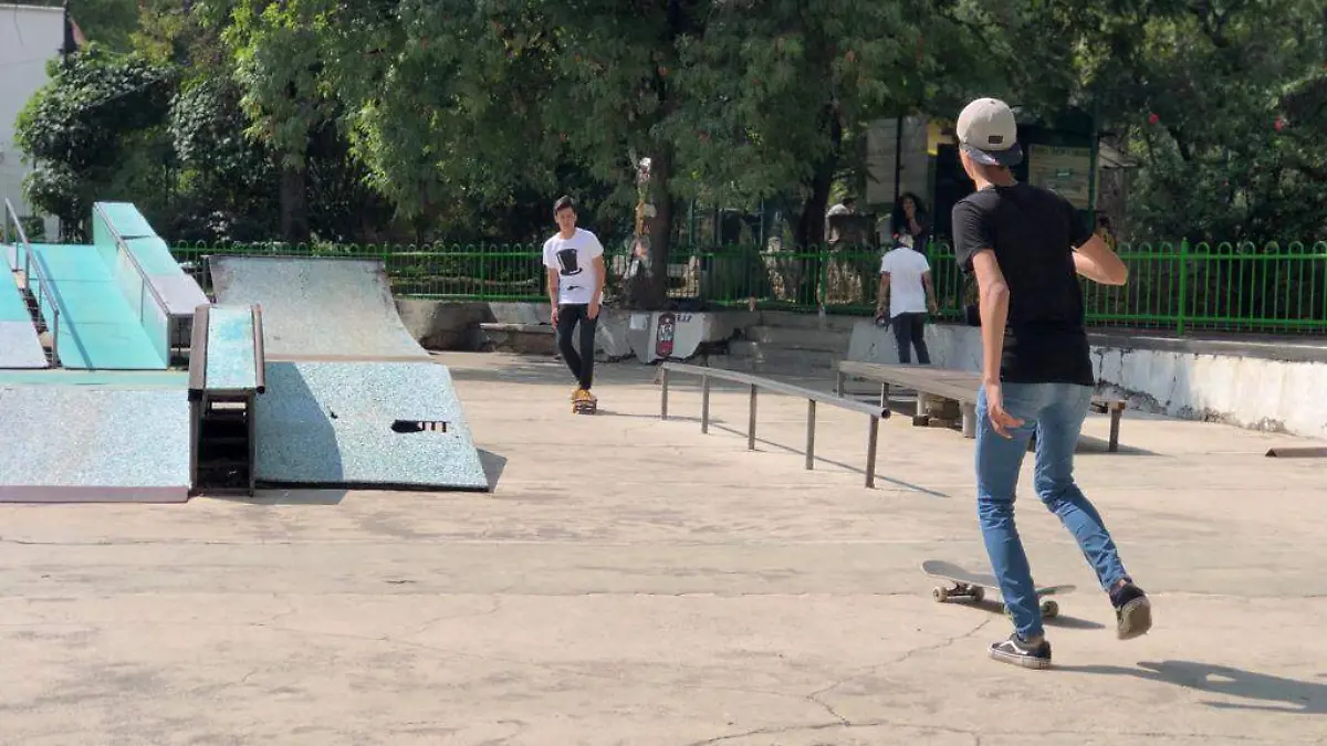 FOTO 3---SKATE PARK BOSQUE CUAHTEMOC_MLM (7)