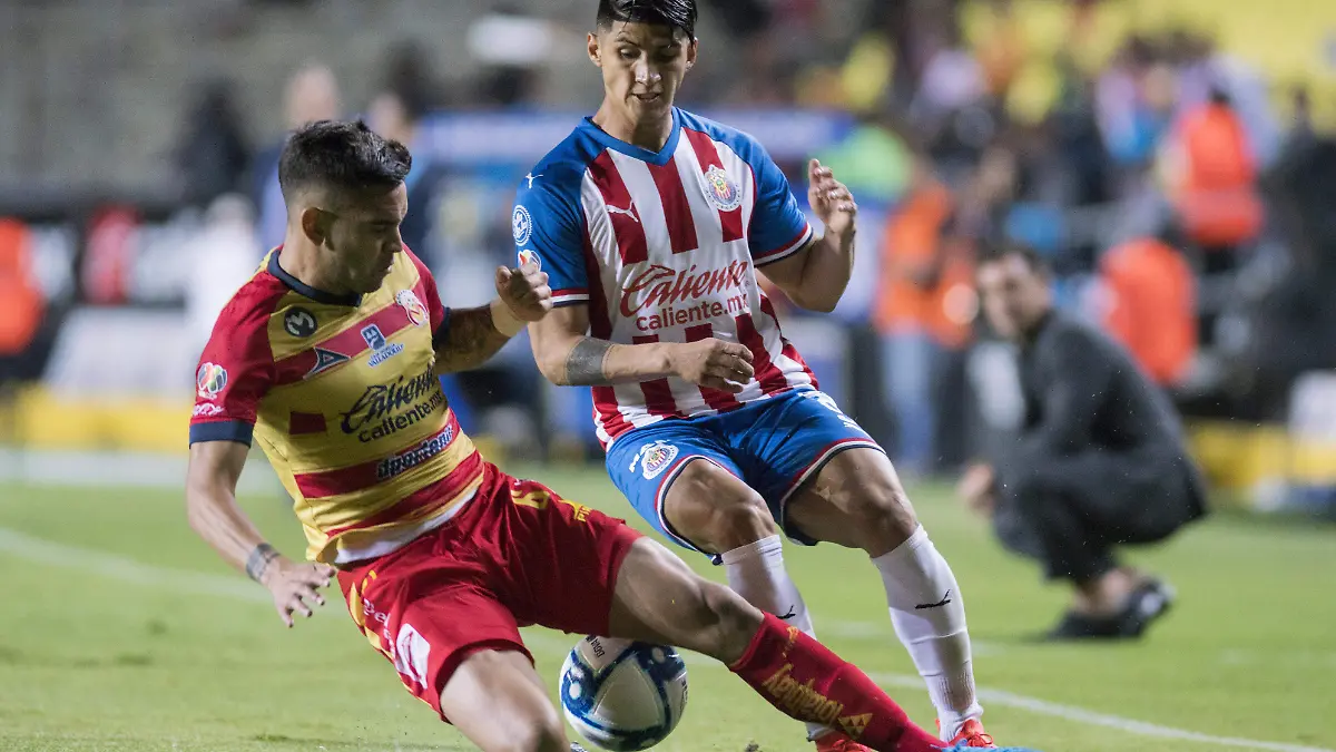 1501 MONARCAS SEBASTIAN VEGAS_ARCHIVO