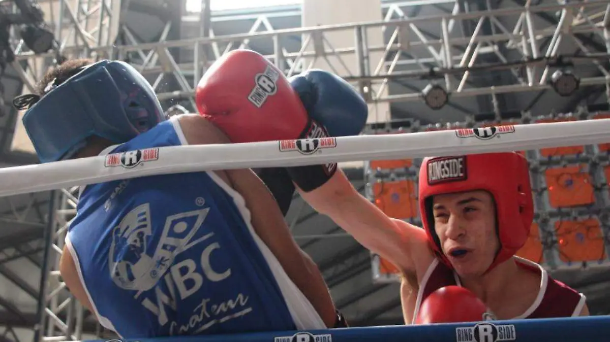 2006 Bole Boxeo 3