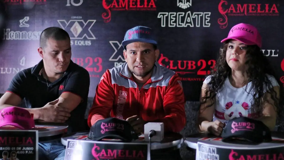 Pelea box