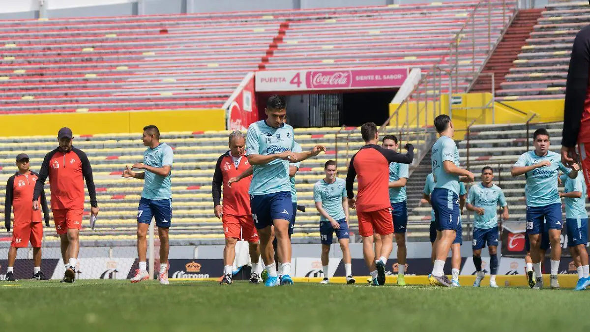 monarcas