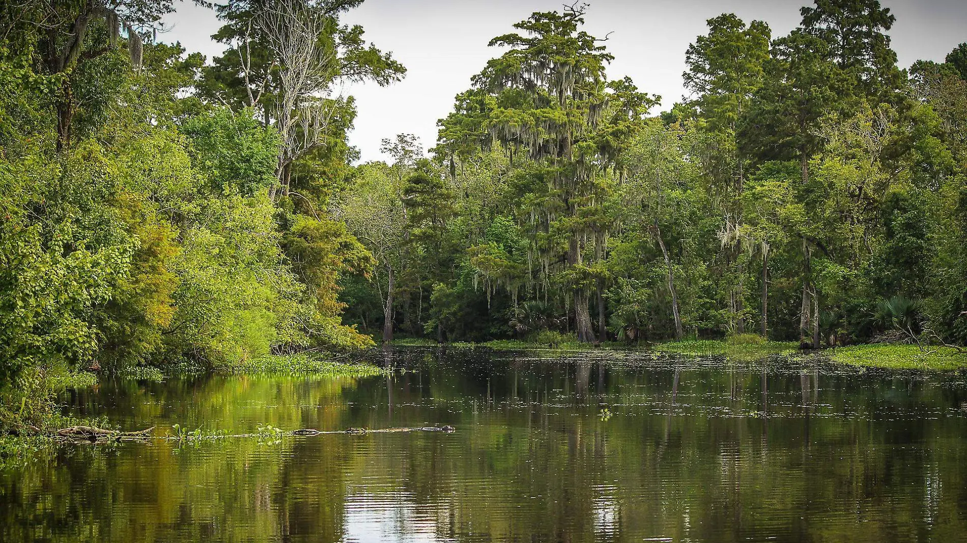 bayou-g0a53c880a_1920