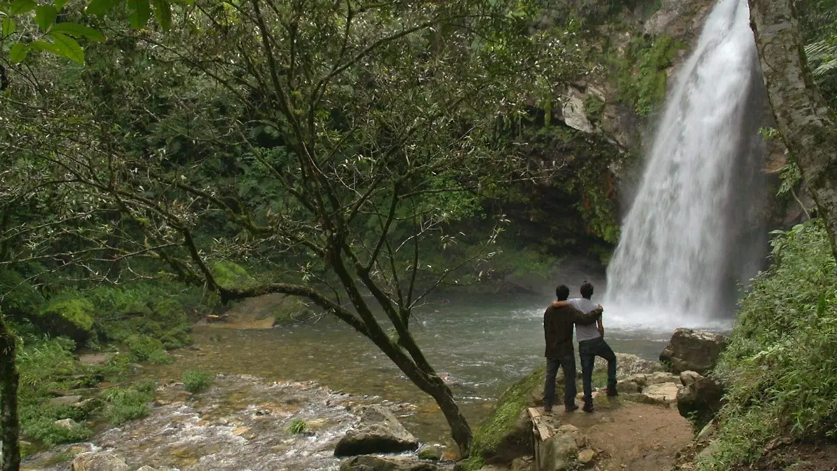 122056477_128278612365440_8451904583741226039_o