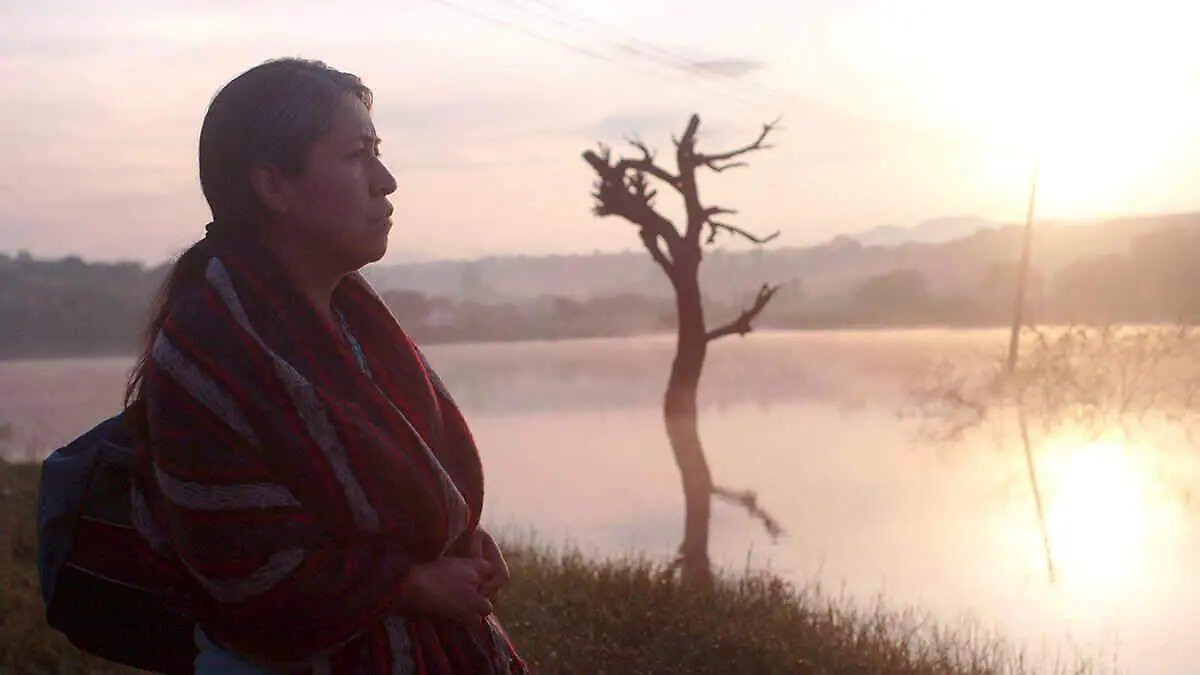 122987344_1064479507329836_9197478098378038078_o