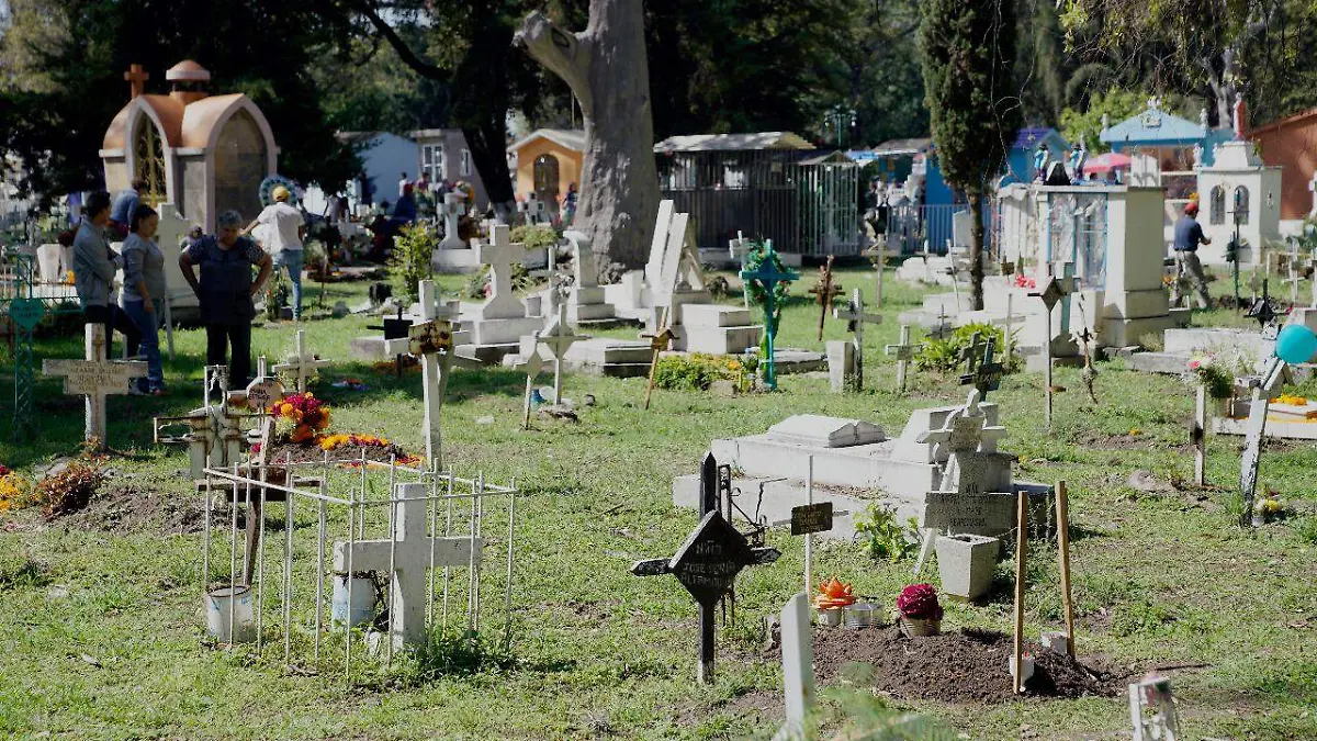 WhatsApp Image 2022-10-06 at 1.00.40 PM