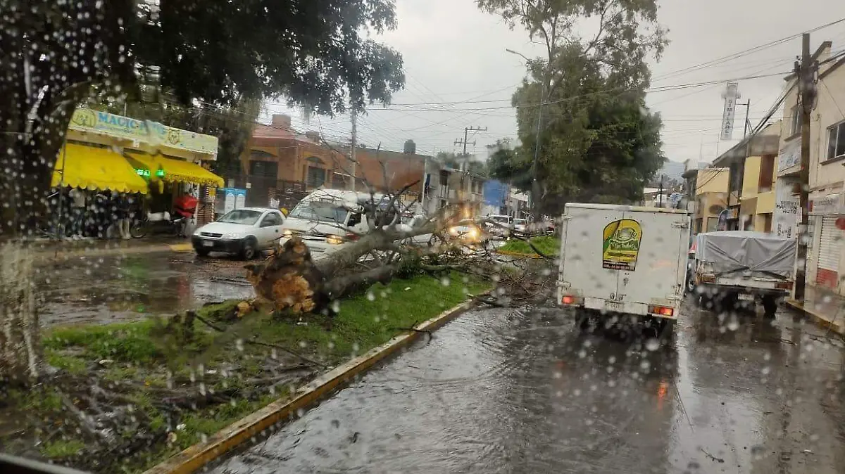 228328773_4608823039148387_4450841142043675083_n