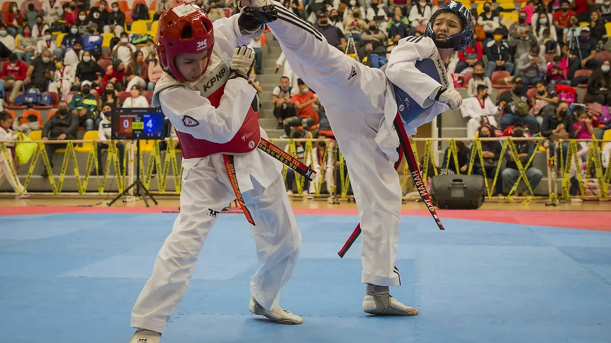 TAEKWONDO_CHR (8)