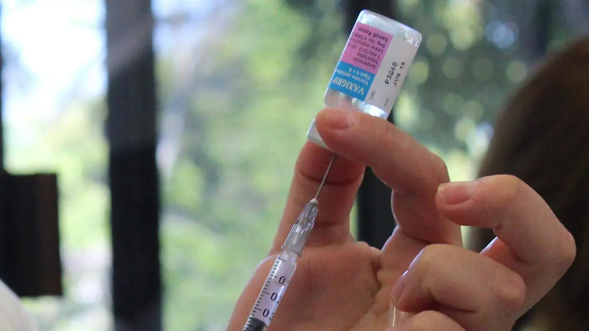 MEDICAMENTOS_MLM (1)