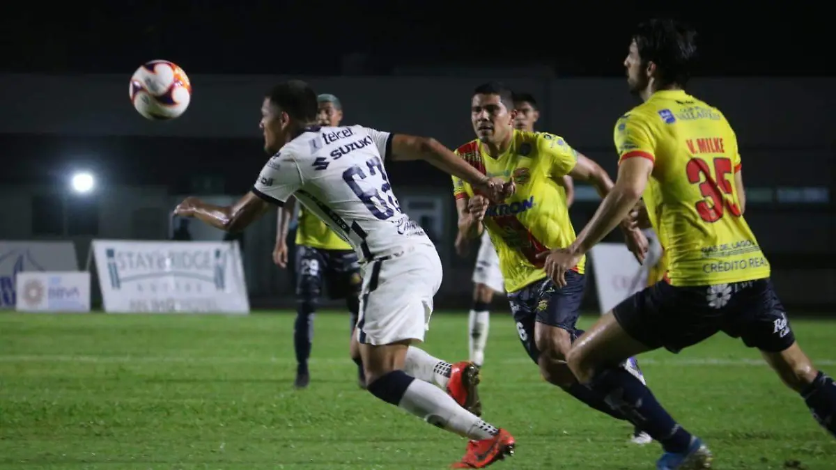 WhatsApp Image 2021-03-03 at 9.31.28 PM (1)