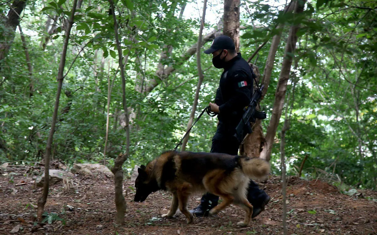 Fosa clandestina