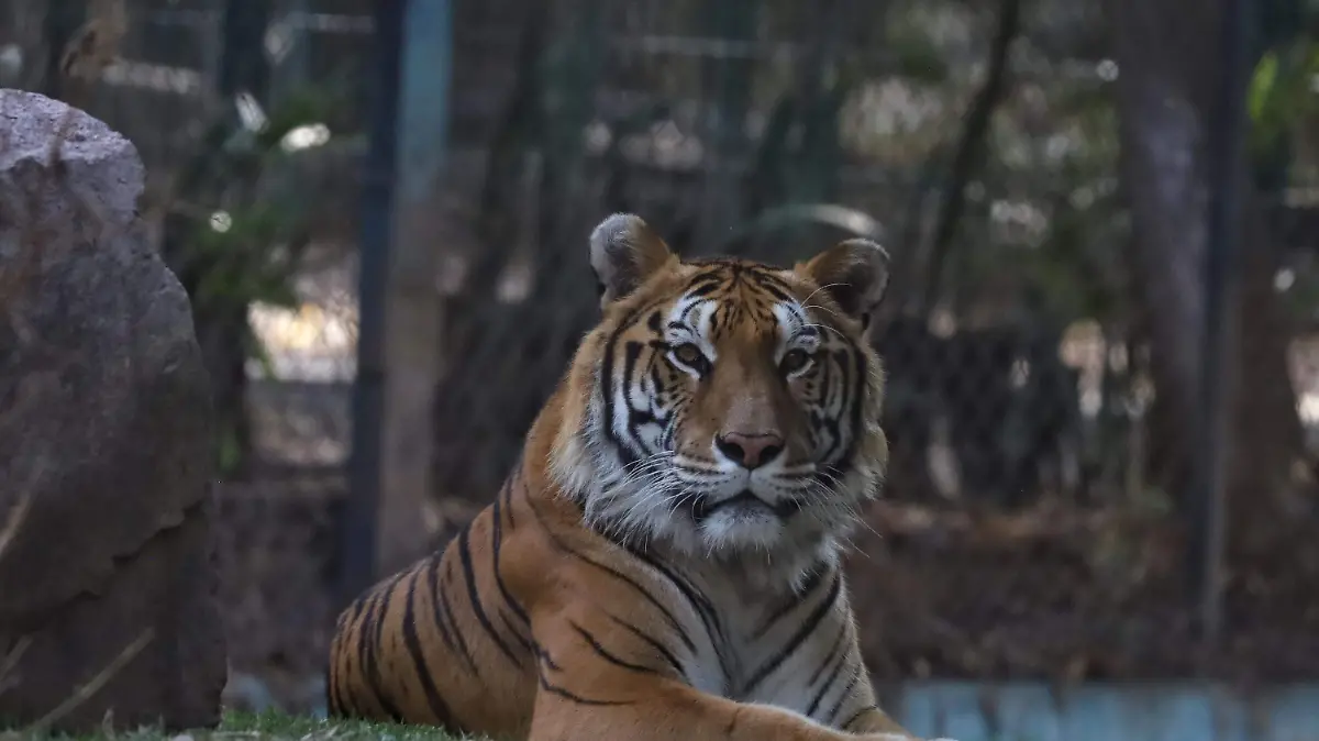 WhatsApp Image 2022-12-31 at 10.46.26 AM