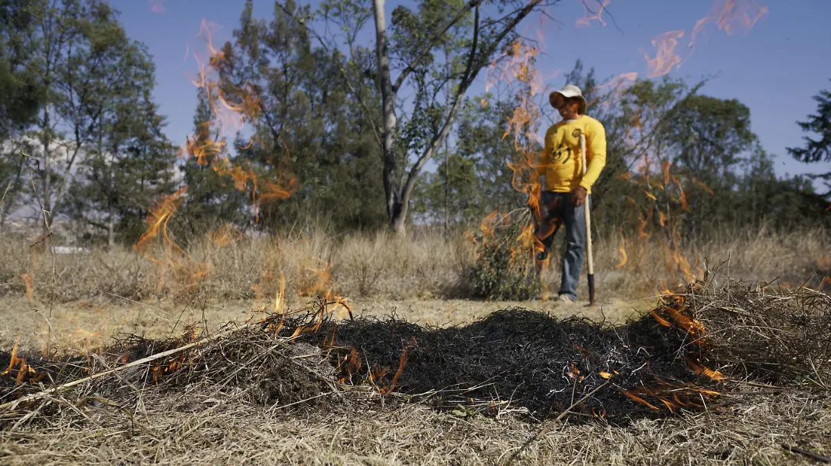 Incendios Forestales