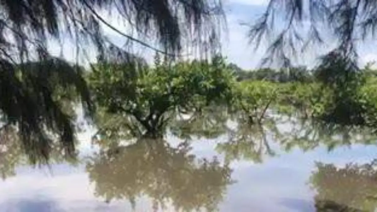 WhatsApp Image 2021-07-27 at 5.07.49 PM