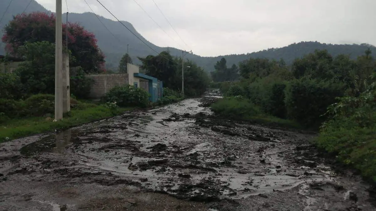 106794626_4081026575272984_6793308048553557038_o