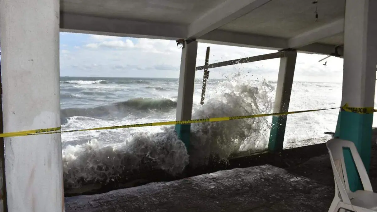 WhatsApp Image 2021-06-27 at 09.14.28