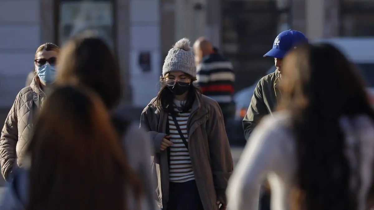 WhatsApp Image 2024-12-13 at 08.57.46