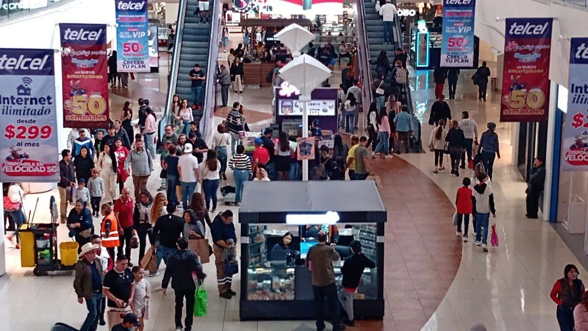 IMG_20241223_141028071-01