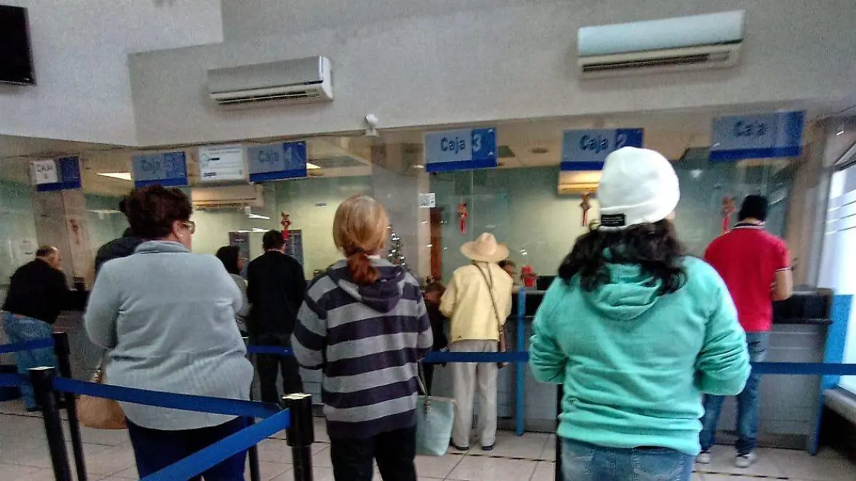 WhatsApp Image 2025-01-08 at 14.18.17 (4)