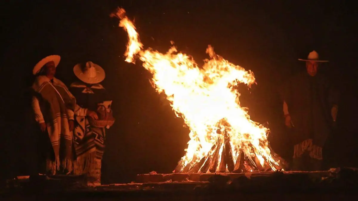 WhatsApp Image 2025-01-28 at 14.04.17 (1)