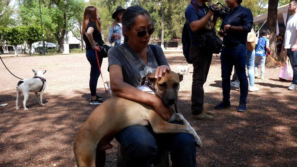 Adopción