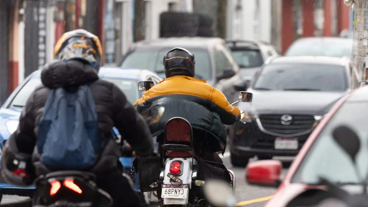 WhatsApp Image 2025-02-18 at 13.58.45 (1)