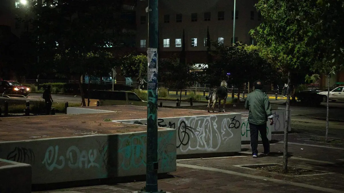 Persona paseando un perro en la Plaza de la Paz