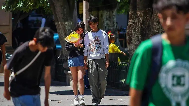 WhatsApp Image 2025-03-19 at 10.34.33