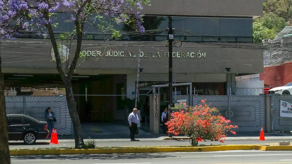 Poder Judicial de la Federación 11