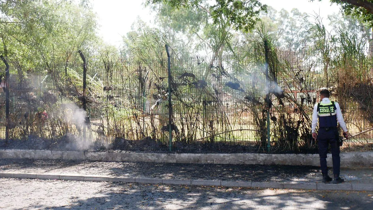 Incendio en una de las vallas del Zoológico de Morelia