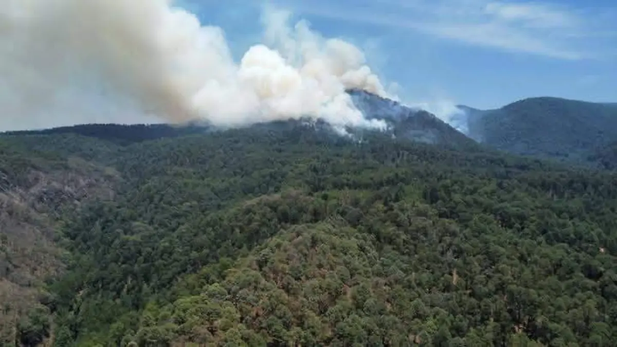Incendio en la Reserva de la Biósfera de la Mariposa Monarca