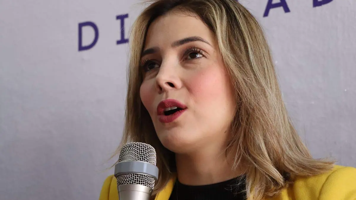 Brissa Ireri Arroyo Martínez, diputada del PRDM