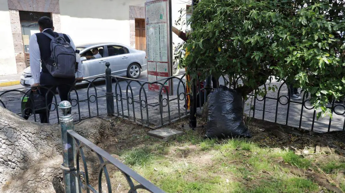 Faltan botes de basura en el Centro de la Ciudad (1)