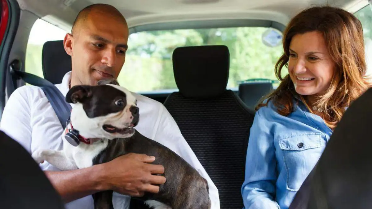 Dos personas viajando con un perro