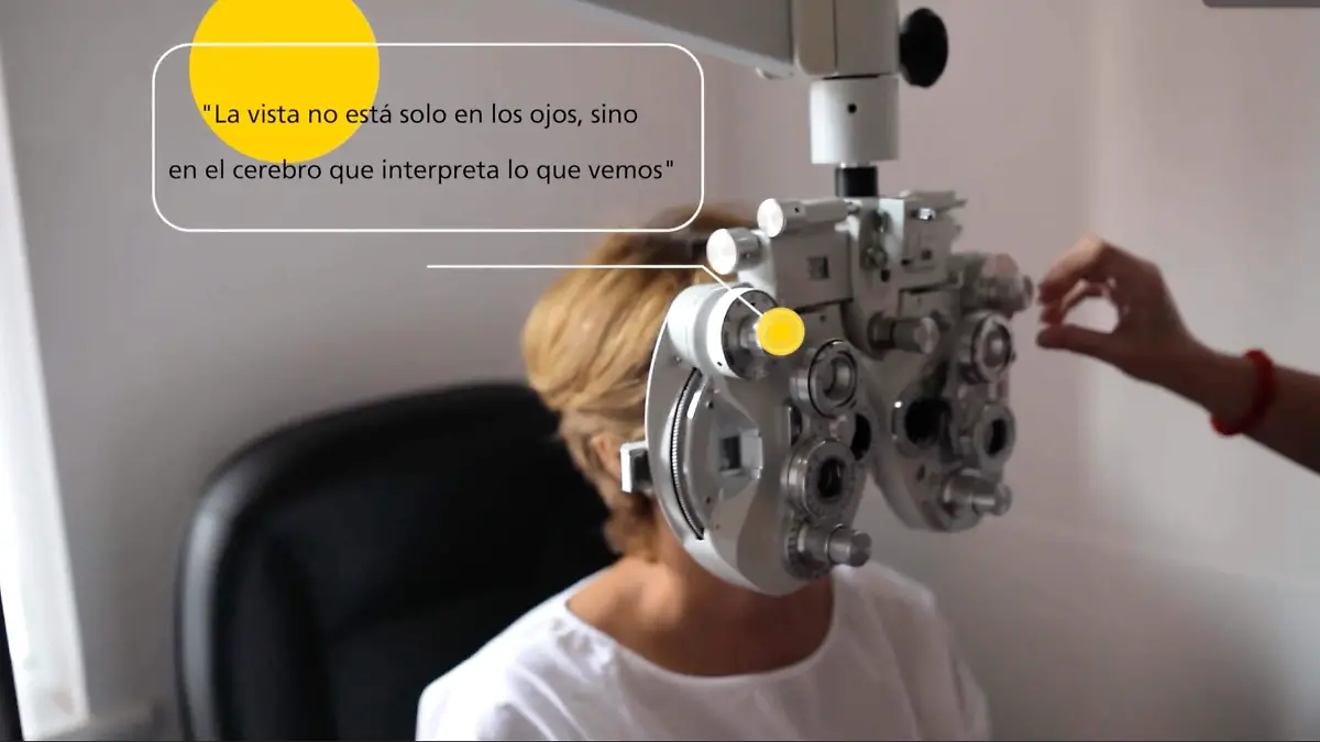250408 La vista y el cerebro_-1