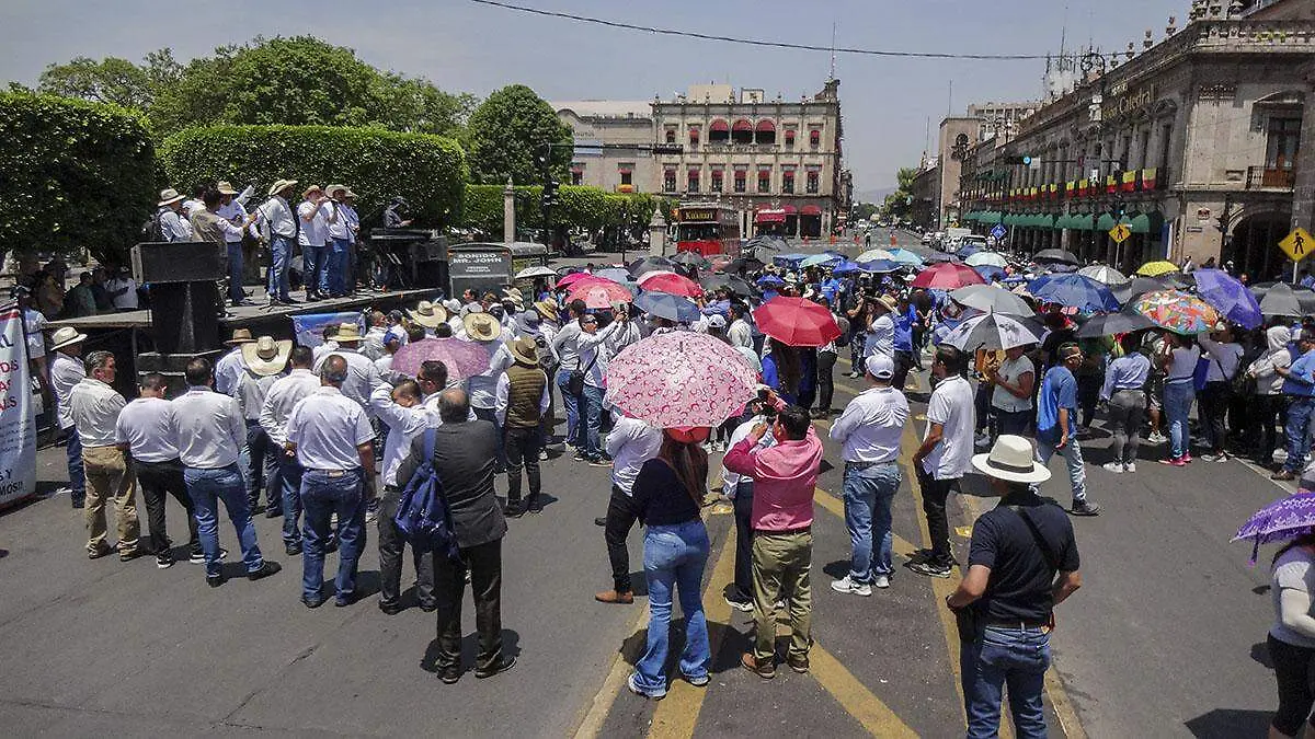 Marcha CNTE (1)