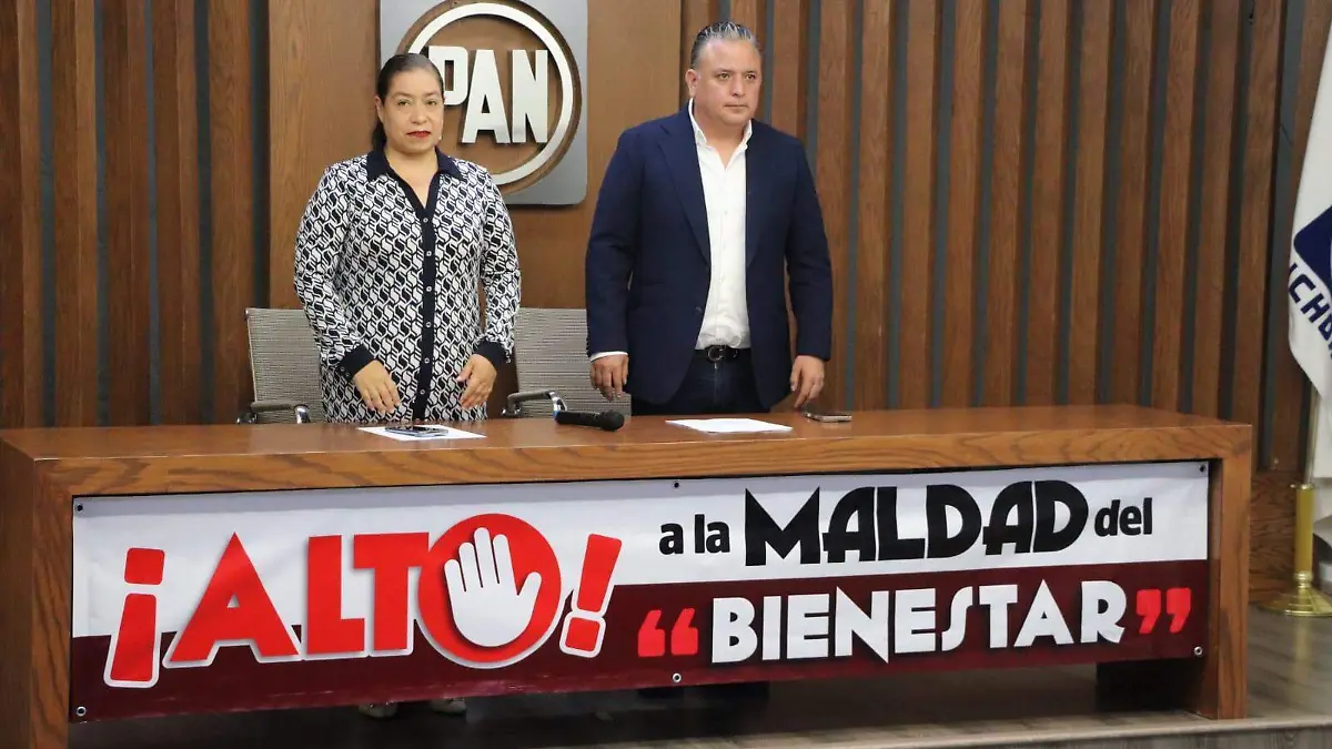 pan michoacán elecciones judiciales