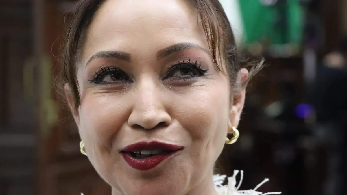 María Itzé Camacho Zapiaín, diputada de Morena