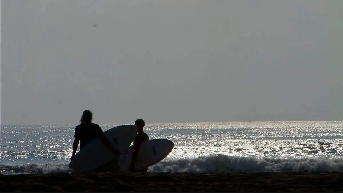 barra de nexpa