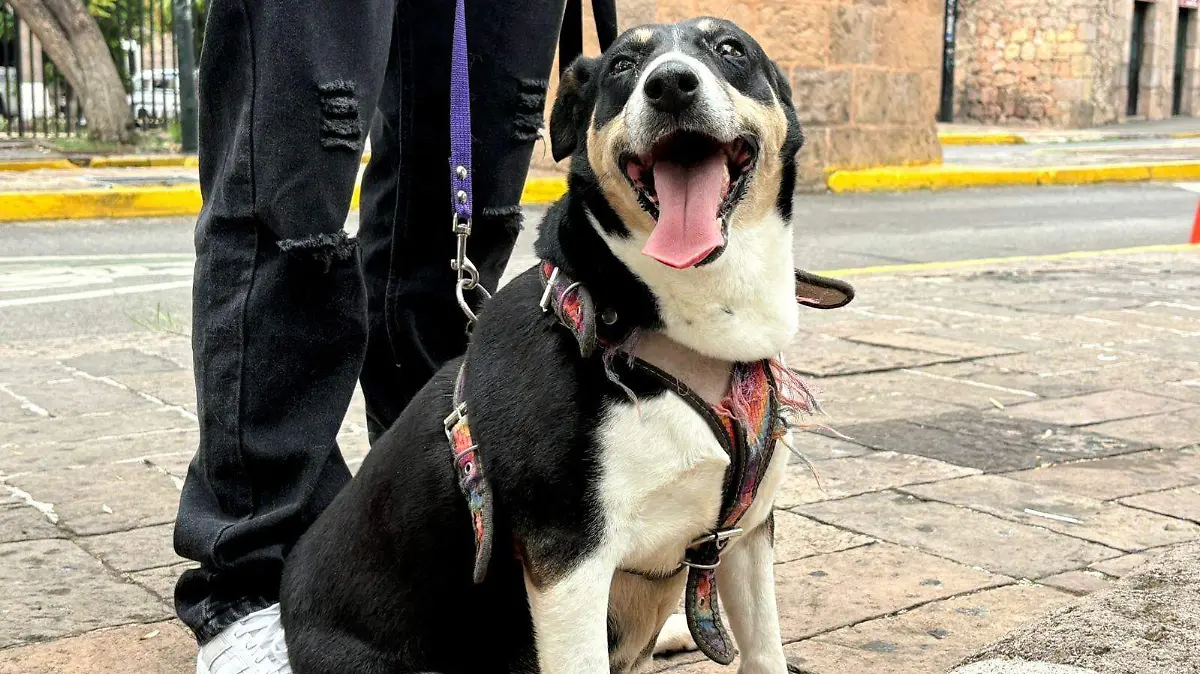 1da9dd96-7d1f-46f7-99ae-0d9f0191b431