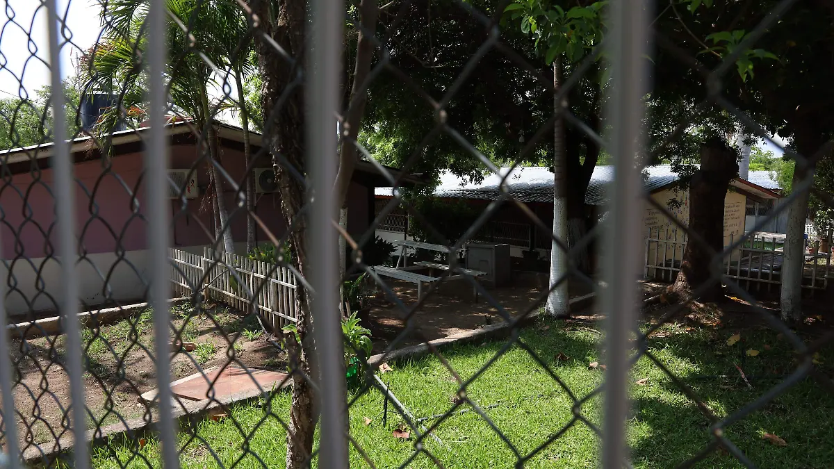 WhatsApp Image 2025-06-18 at 11.29.36 (1)