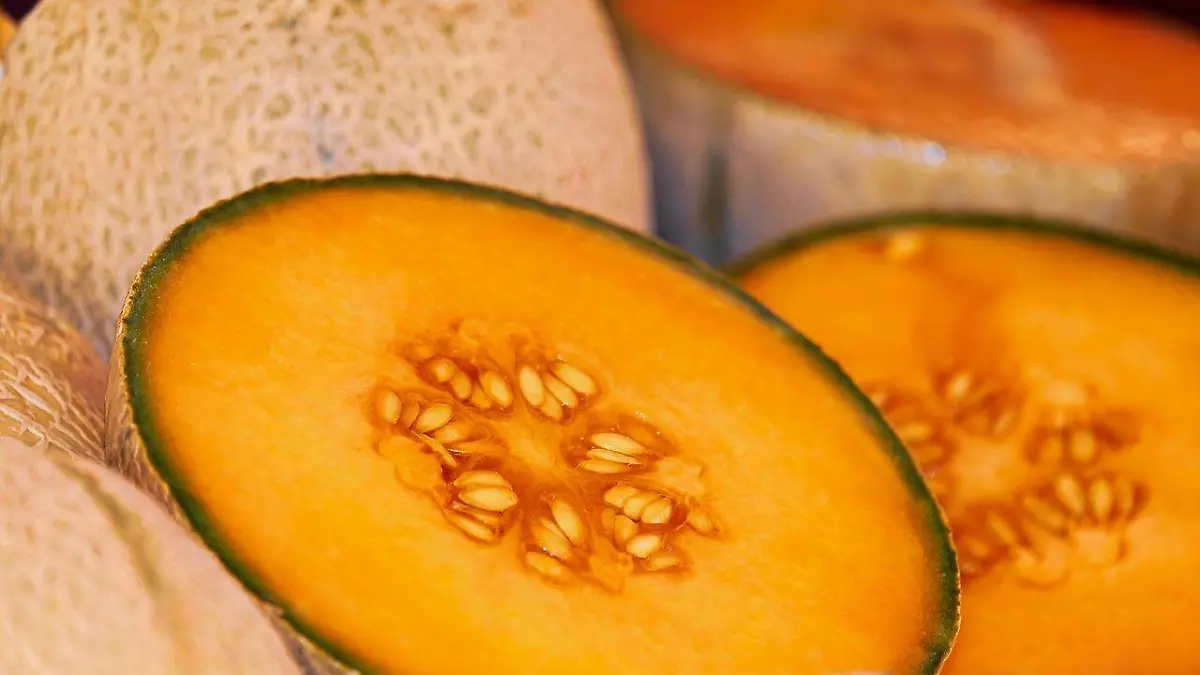 Melón