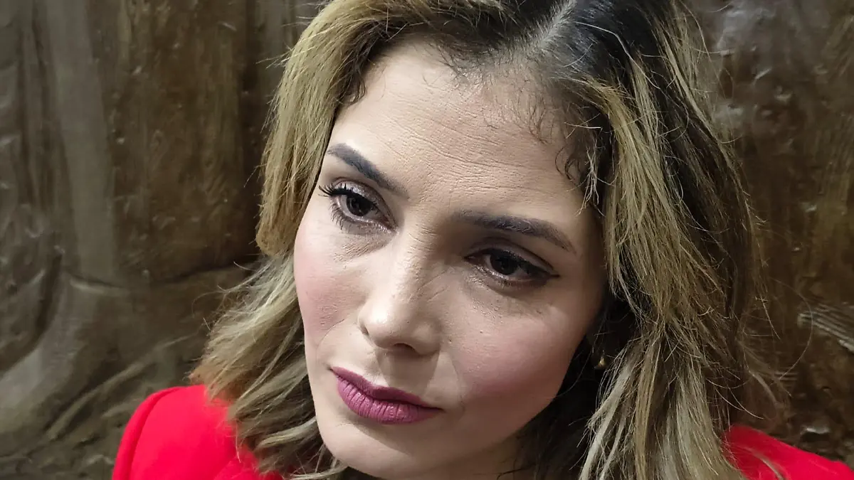 Brissa Arroyo, diputada