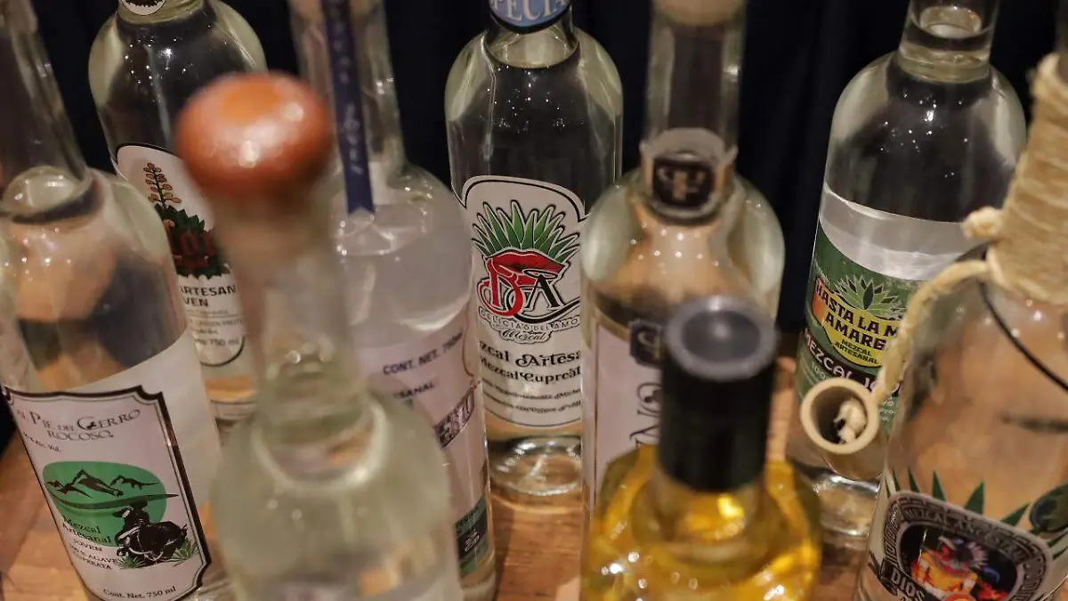 Mezcaleros en Morelia (3)