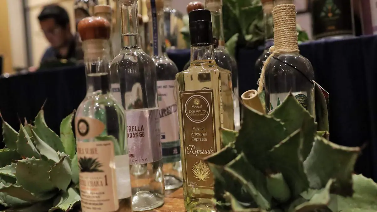 Mezcaleros en Morelia