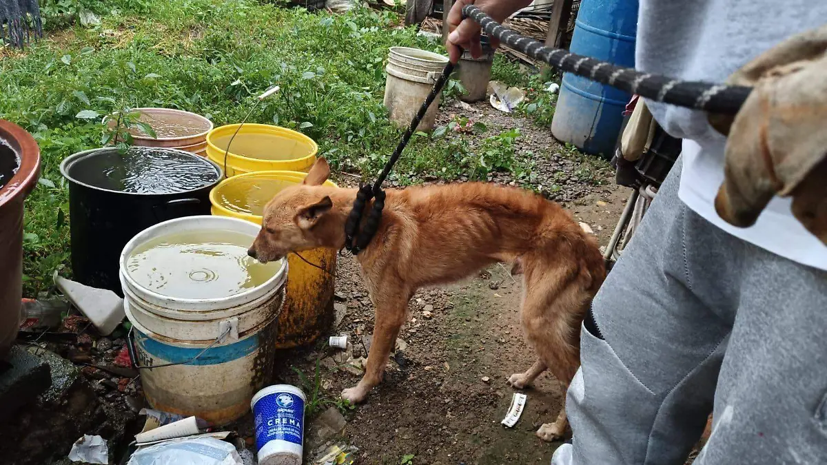 518514043_2666333750203645_8489165379560211804_n